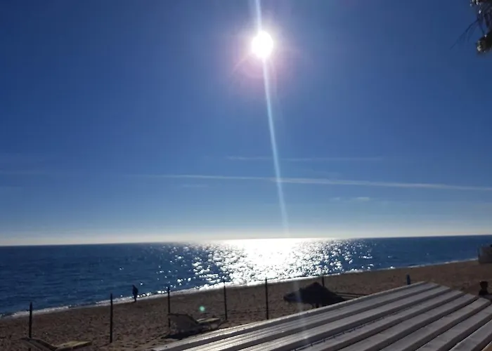 Quiet Beachfront Oasis - Dona Sofia דירה